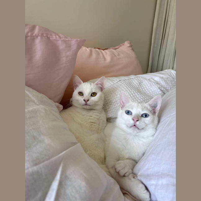 Photo of Parsnip & Yam