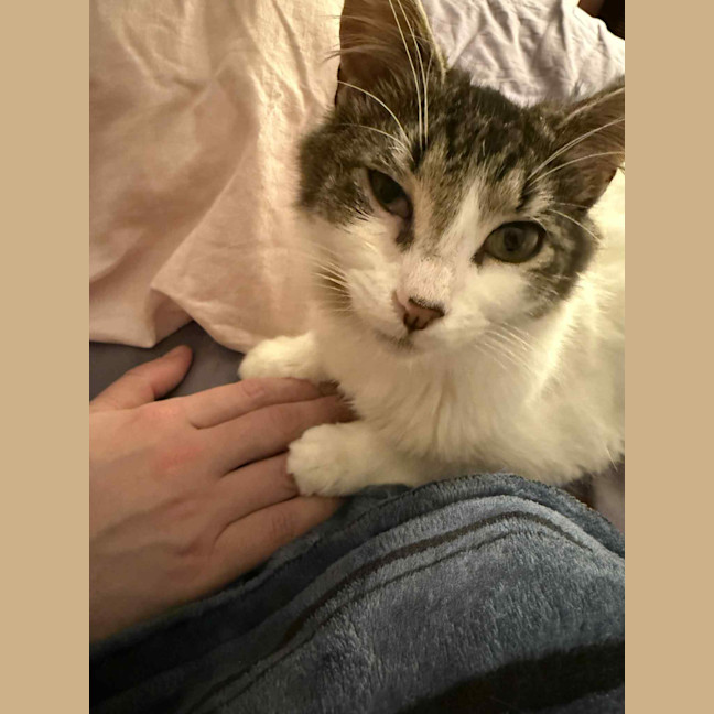 Photo of Atlas