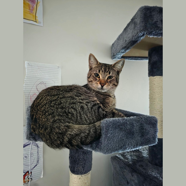 Photo of Chase