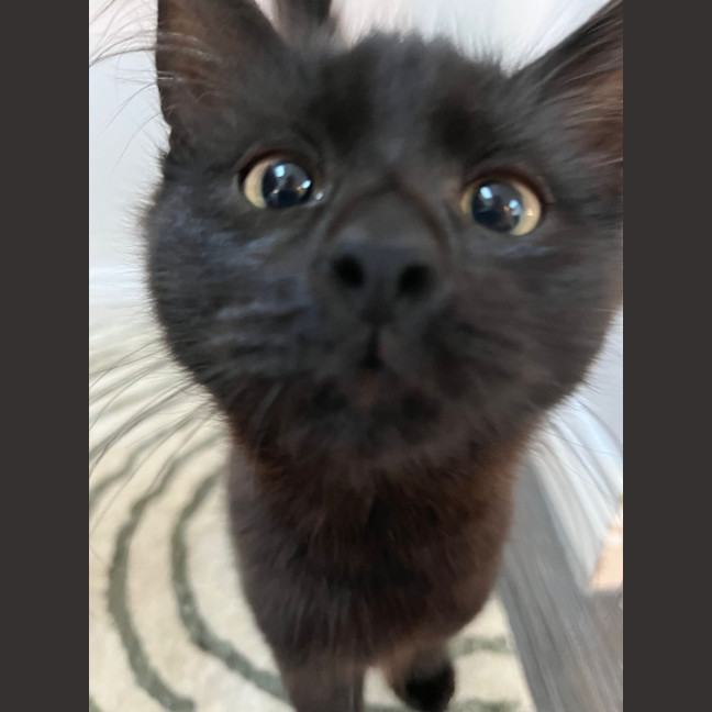 Photo of Wednesday