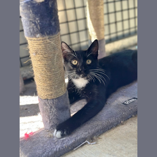 Photo of Little Jack