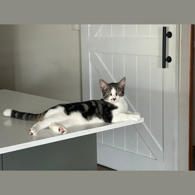 Photo of Jerry Freckle