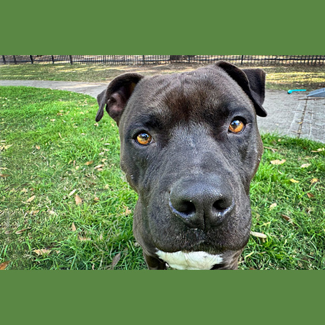 Photo of Kaos