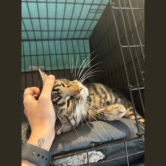 Photo of Gus