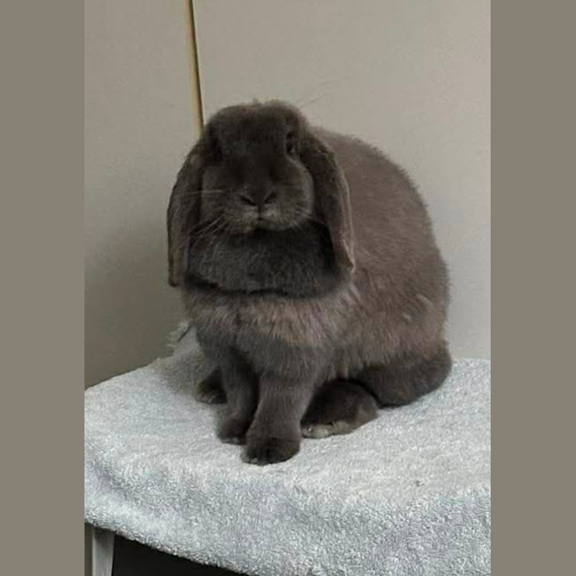 Photo of Louise