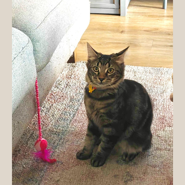 Photo of Buffy
