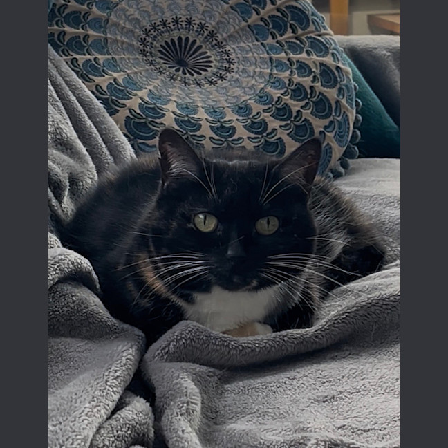 Photo of A Special Little Lady