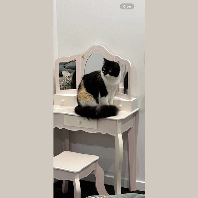 Photo of Bruno + Daisy