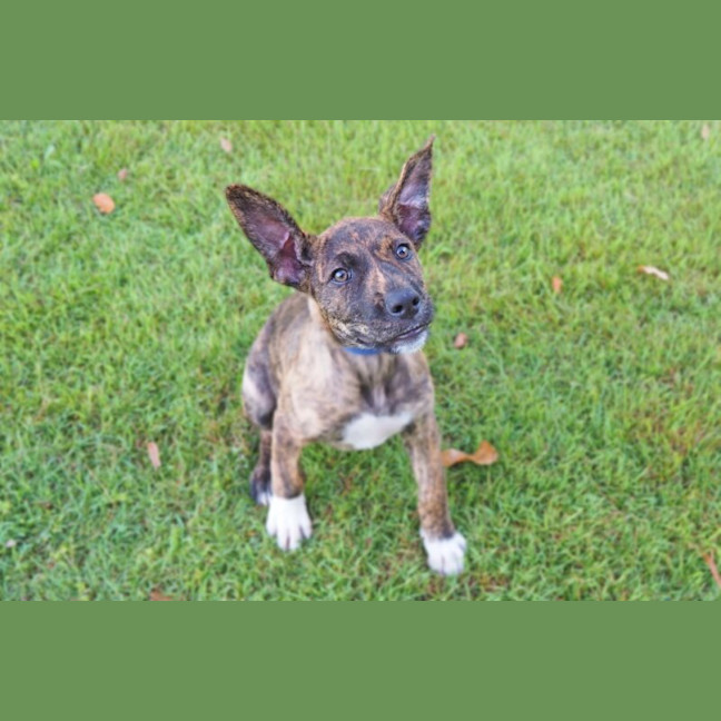 Photo of Chloe