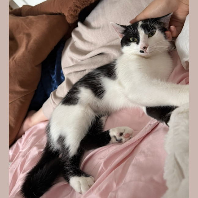 Photo of Rocket Scott