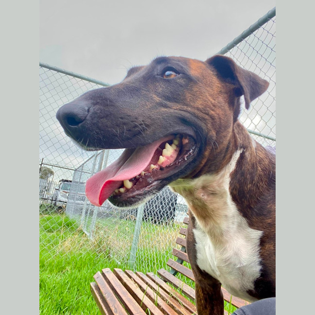 Photo of 🦆 Ducky 6839 🦆