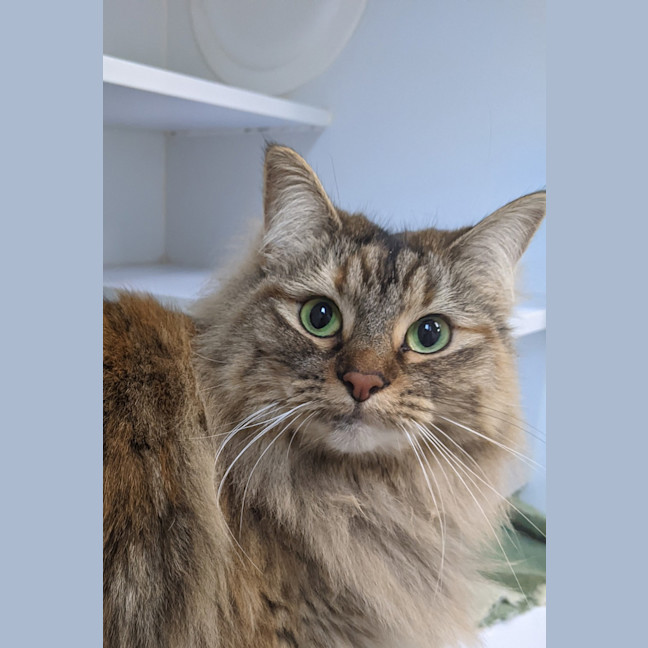 Photo of Lily