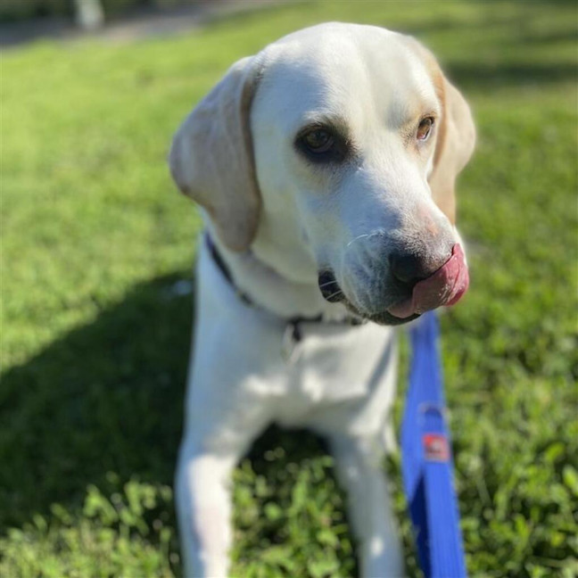Photo of Bruce