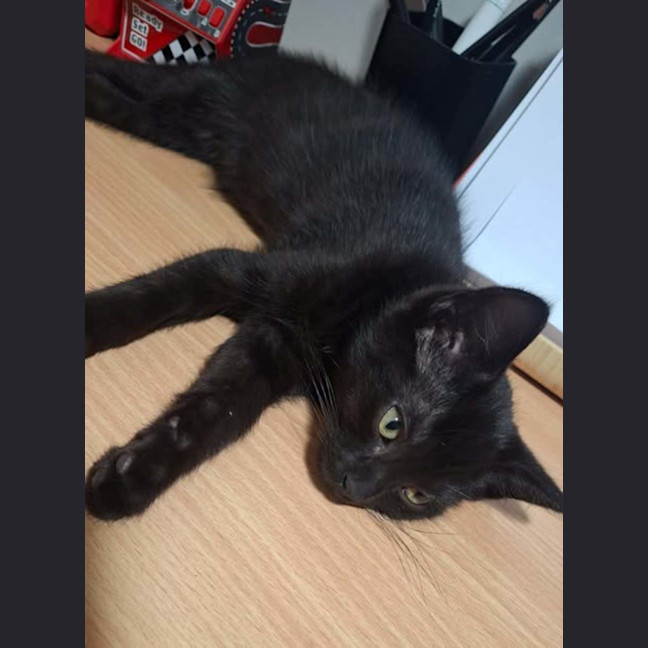 Photo of Liquorice