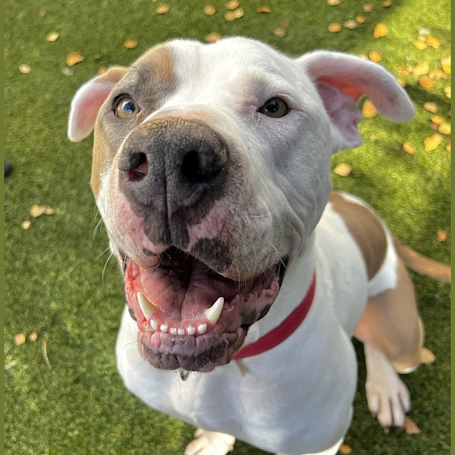 Photo of Zeus