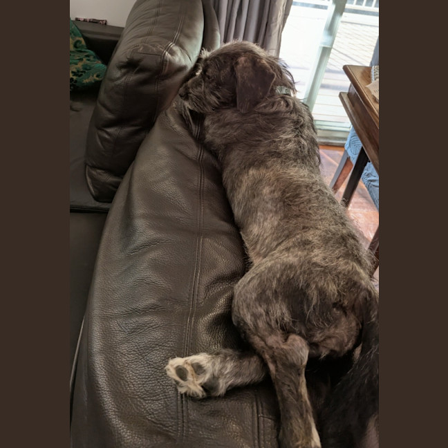 Photo of Peppa