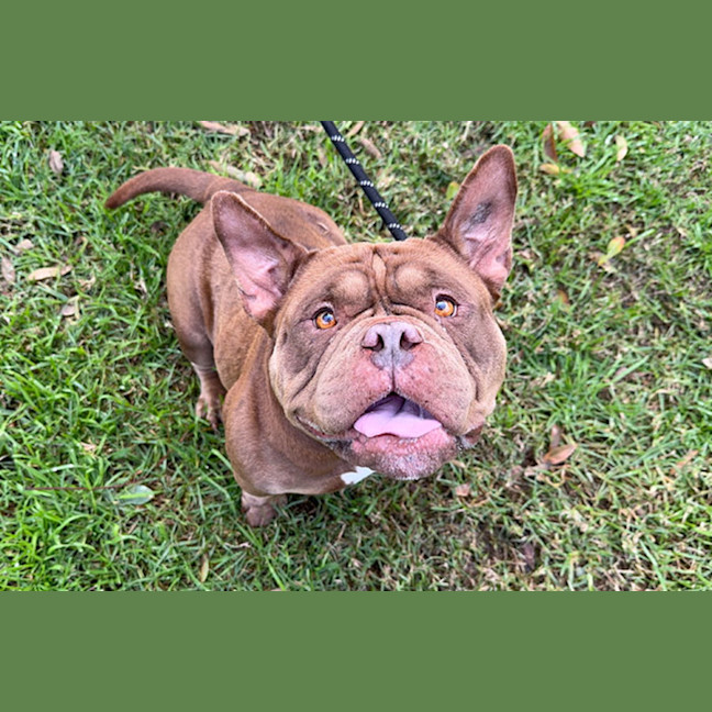 Photo of Hazel
