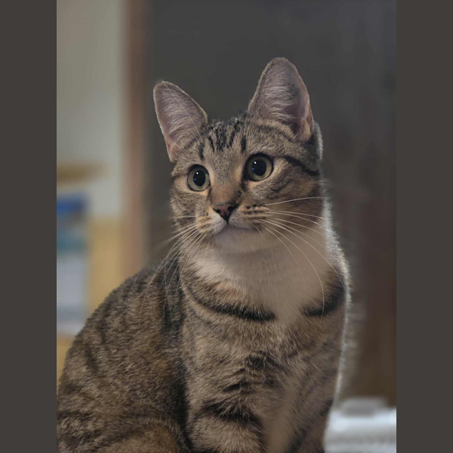 Photo of Miah