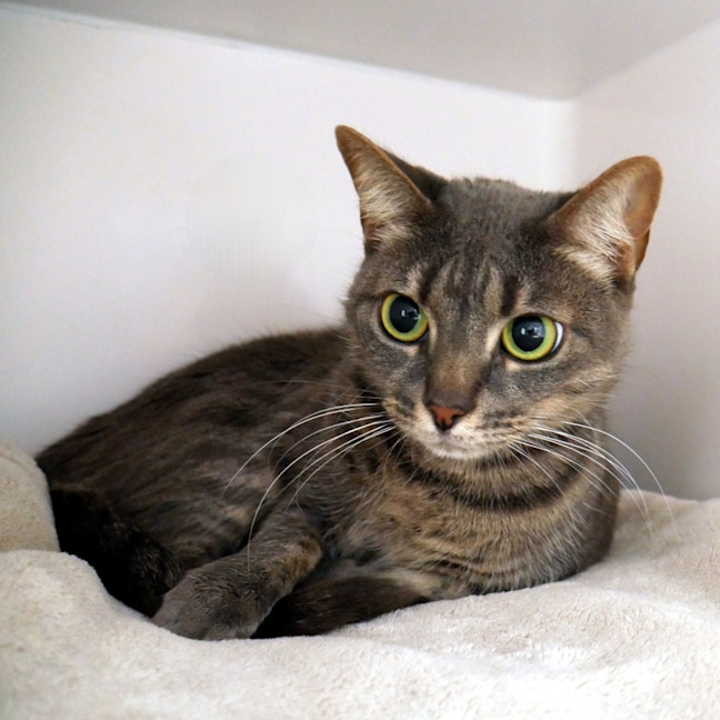 Photo of Milly Sua013092