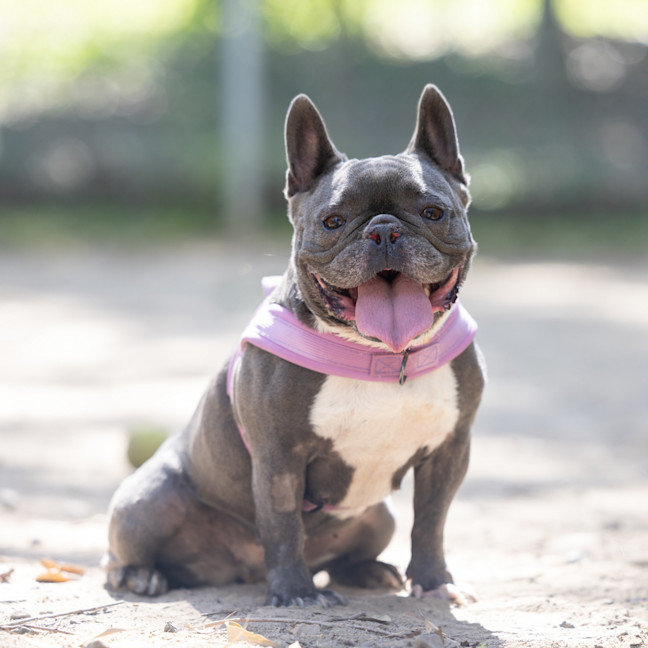 Photo of Nora