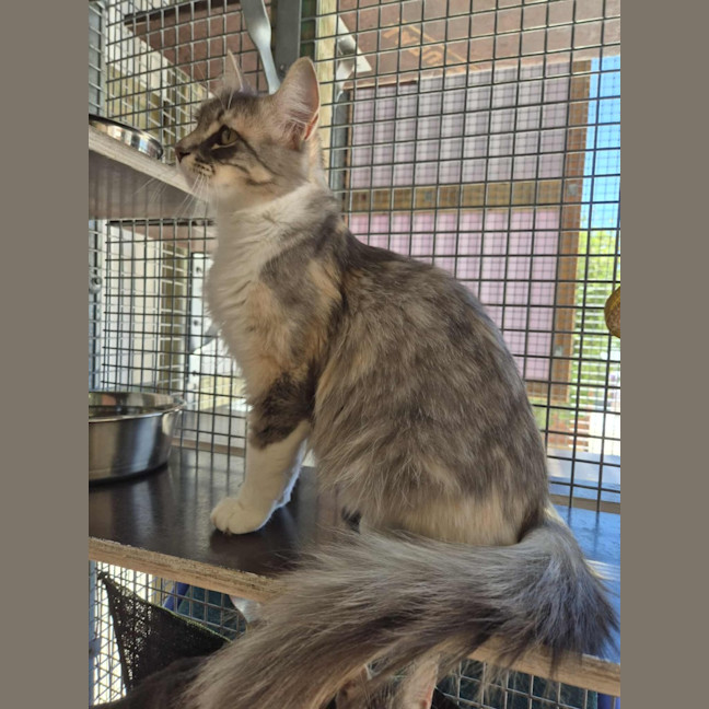 Photo of Spring! 🌷