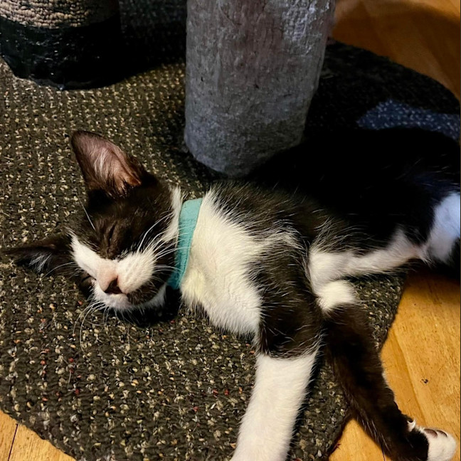Photo of Clawdia