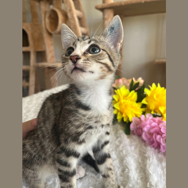Photo of Jasper