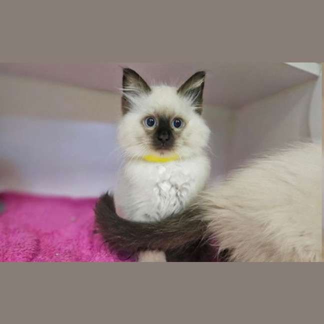 Photo of Cecily