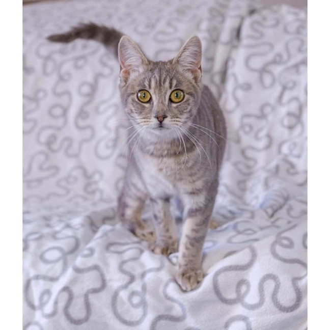 Photo of 13230   Ada