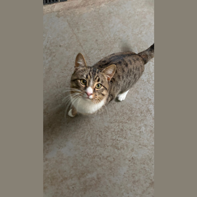 Photo of Wonton
