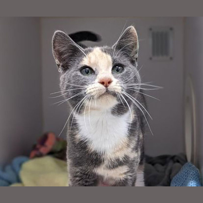 Photo of Betty