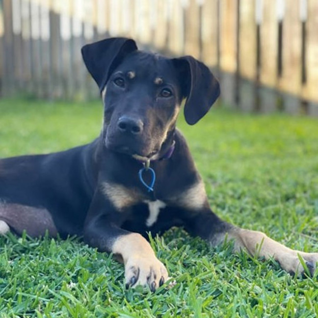 Photo of Zena
