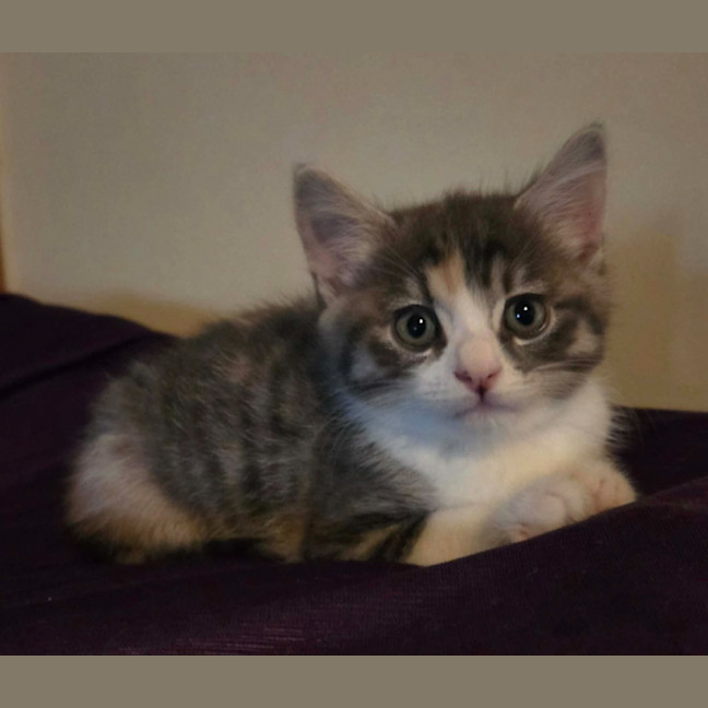 Photo of Space Princess