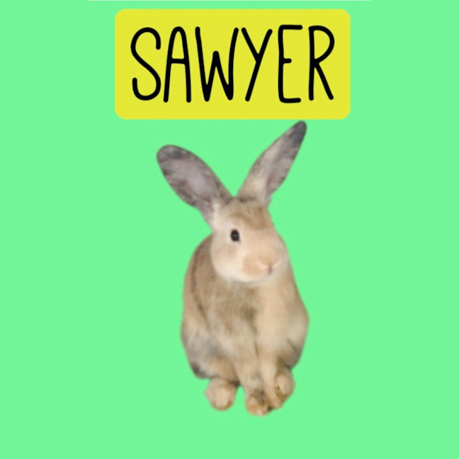 Photo of Sawyer