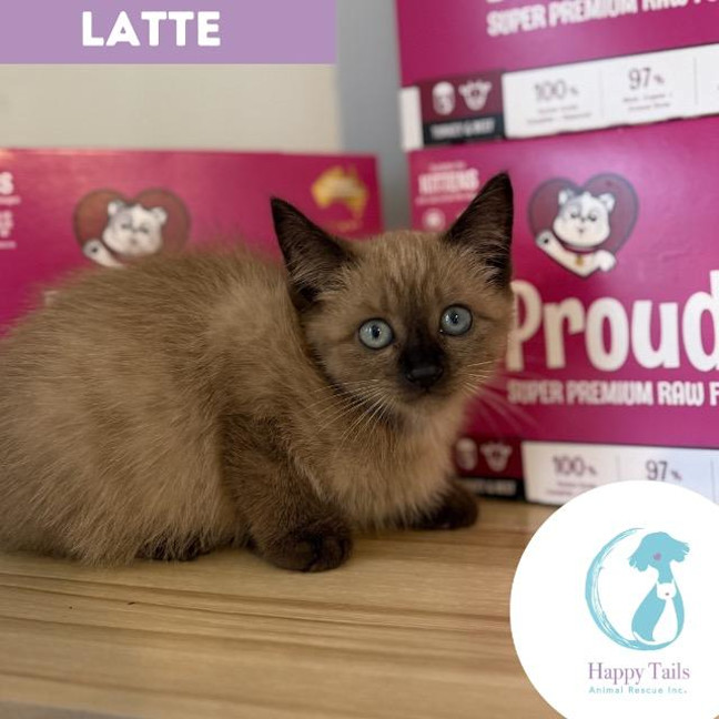 Photo of Latte