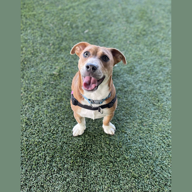 Photo of Lola