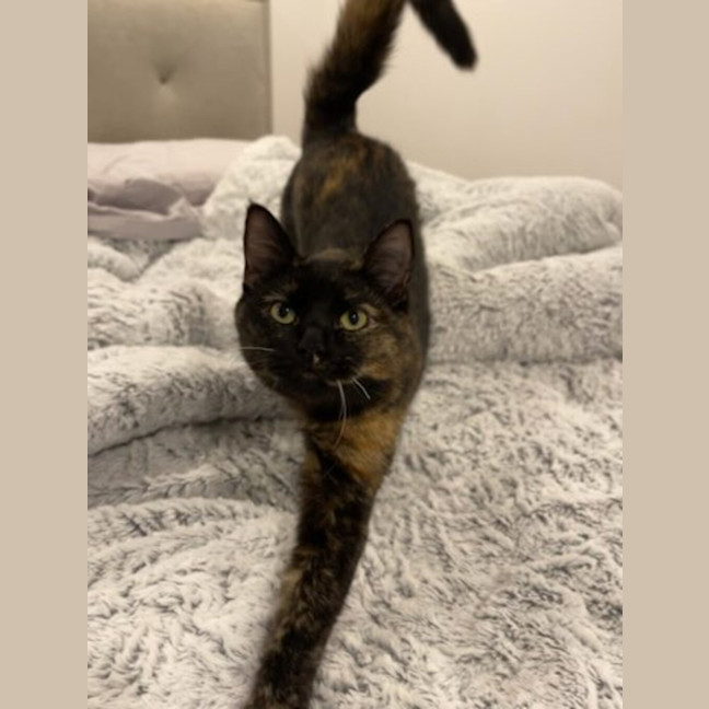 Photo of Abby 