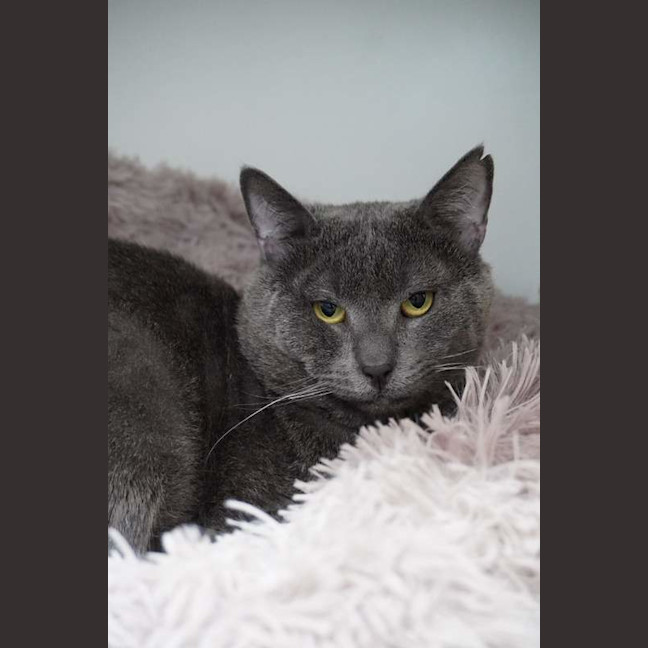 Photo of Sweetie Boy