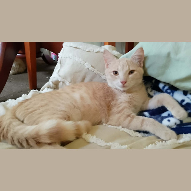Photo of Ivory