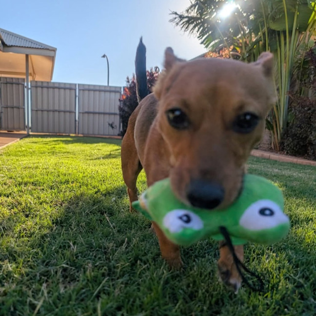 Photo of Rylo