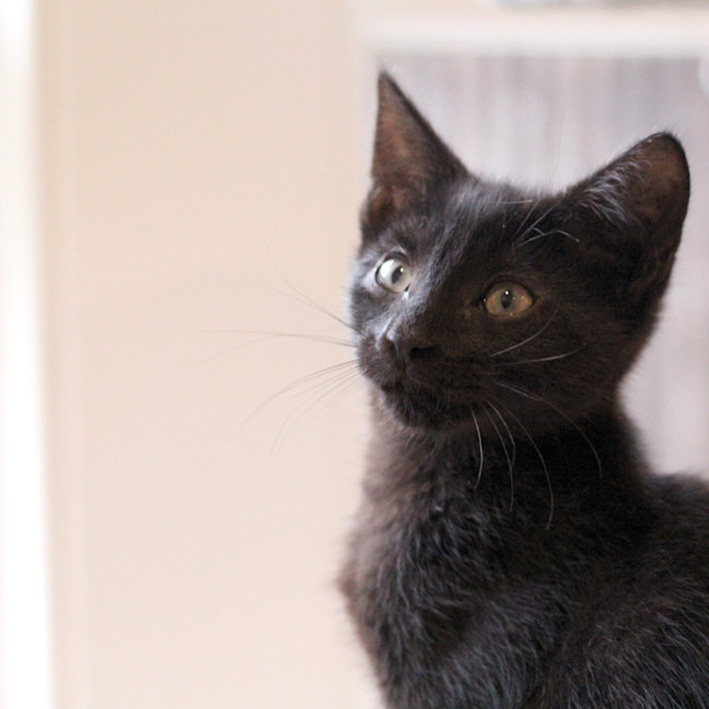 Photo of 🩷 Medina 🩷