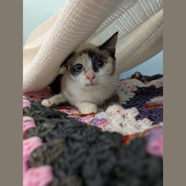 Photo of Brandene
