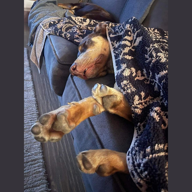 Photo of Fred Weasley