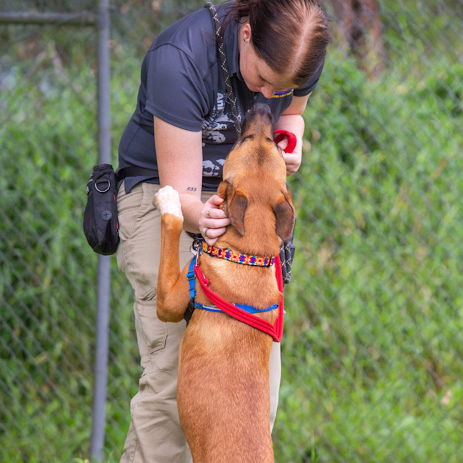 Photo of Roscoe