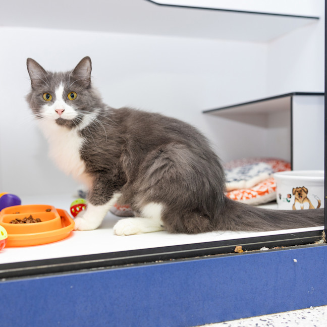 Photo of Miss Chatterbox