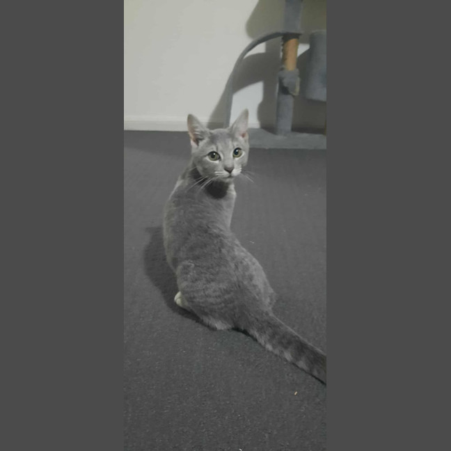 Photo of Eidie (K46)