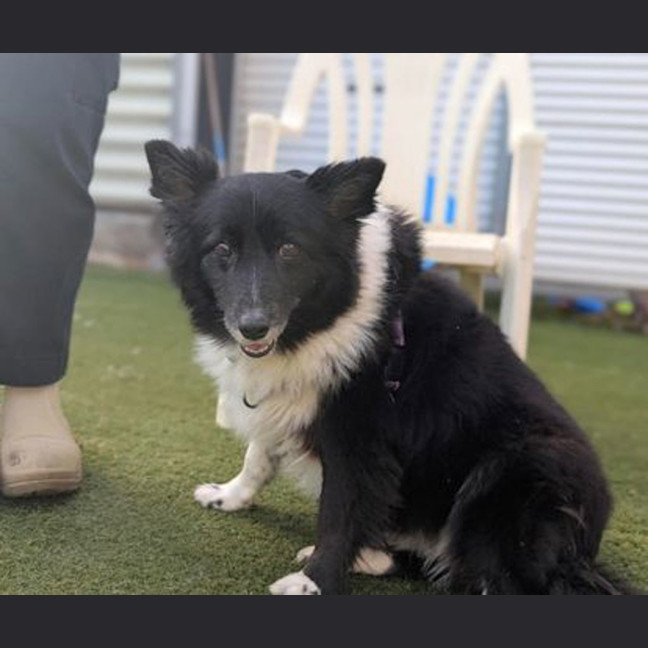 Photo of Jazz