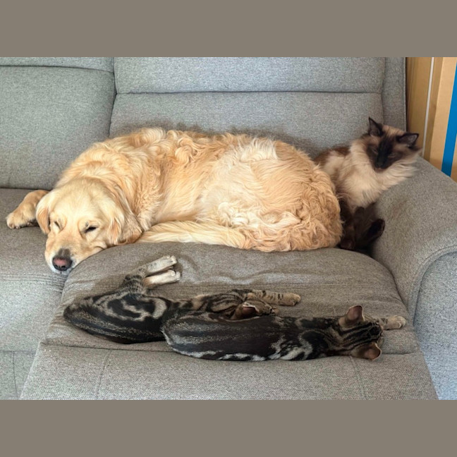 Photo of Peter & Griffin 