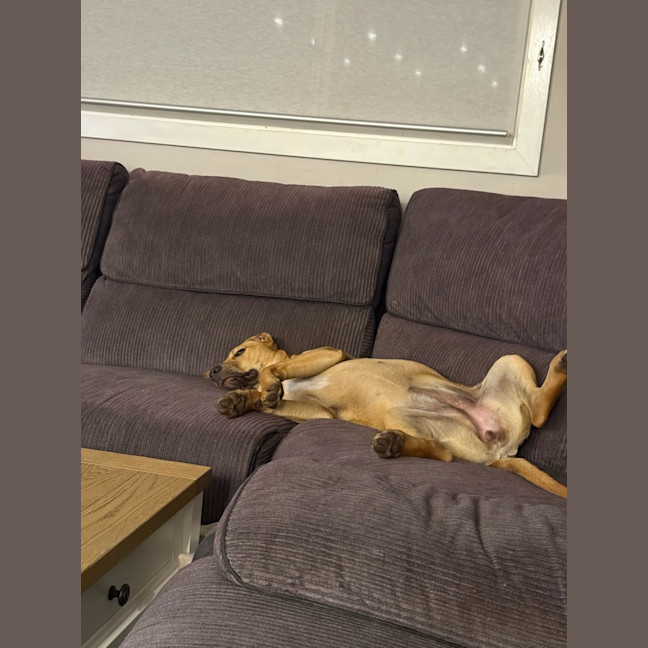 Photo of Winnie 