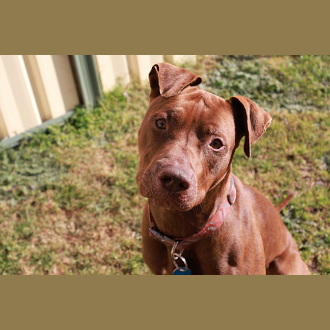 Photo of Wilfred